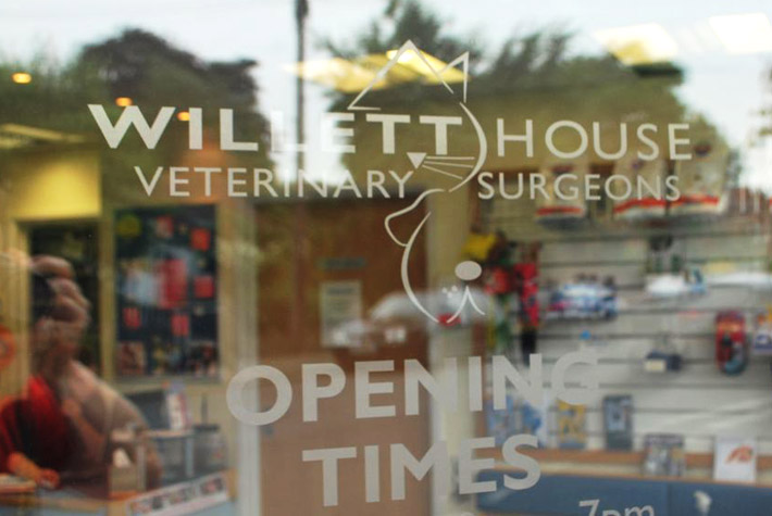 Willett House Veterinary Surgeons, Hampton